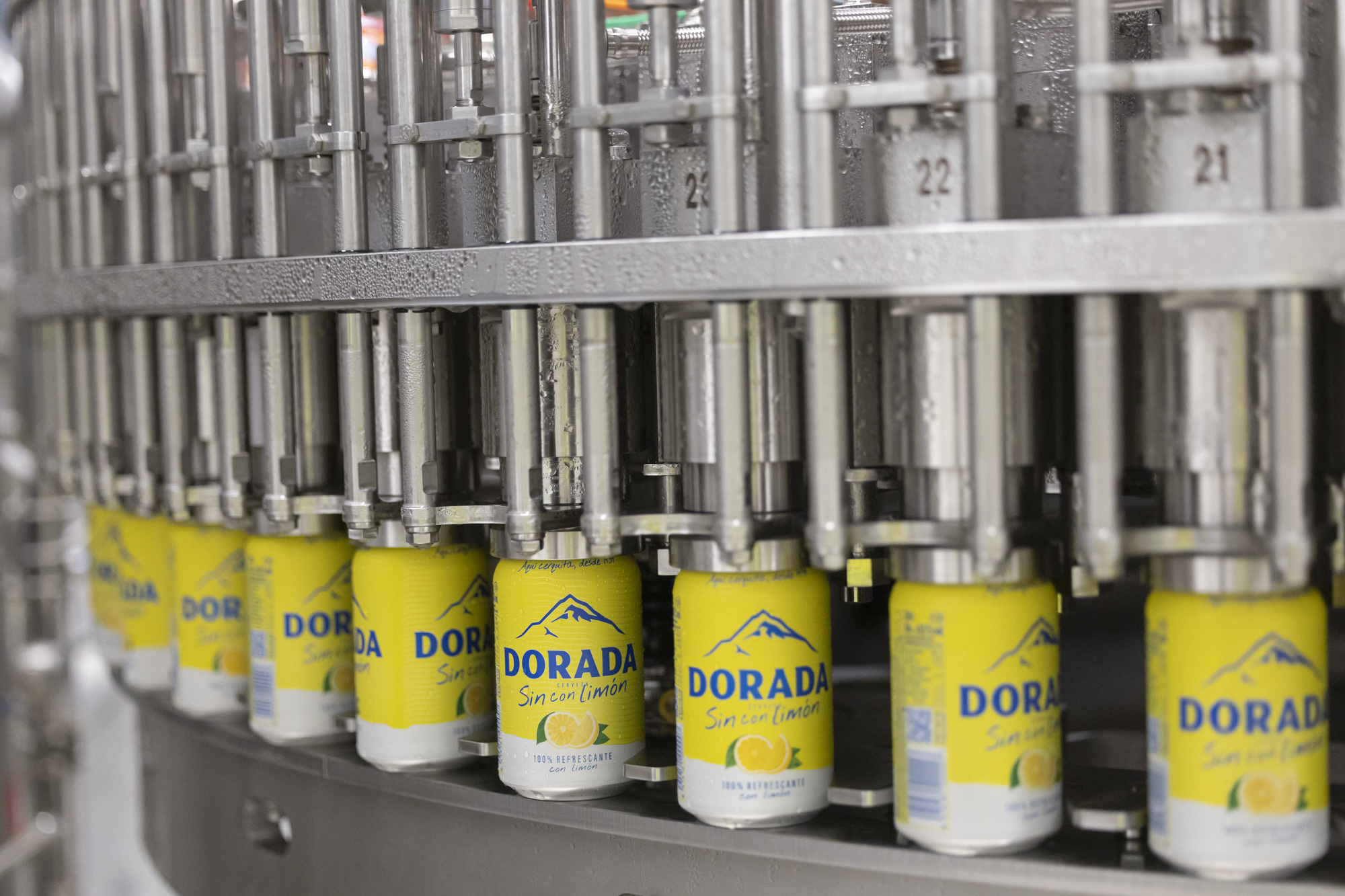Cervecera de Canarias amplía su oferta de cerveza sin alcohol ante el crecimiento constante de la demanda